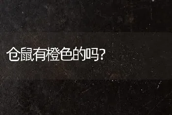 松狮的繁衍方法？