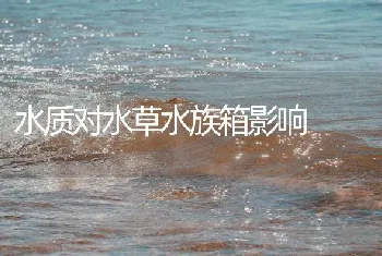 水质对水草水族箱影响