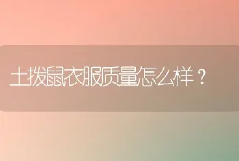 土拨鼠衣服质量怎么样？