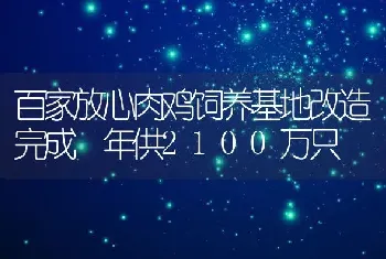 百家放心肉鸡饲养基地改造完成 年供2100万只