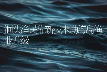 洞头渔民靠新技术助海岛渔业升级