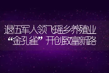 退伍军人领飞瑶乡养殖业 “金孔雀”开创致富新路