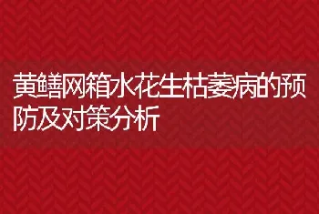 鸡吐水是什么病？怎么防治得当