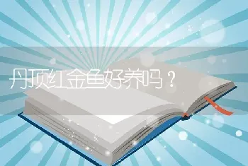 丹顶红金鱼好养吗？