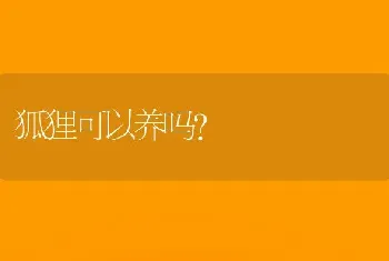 狐狸可以养吗？