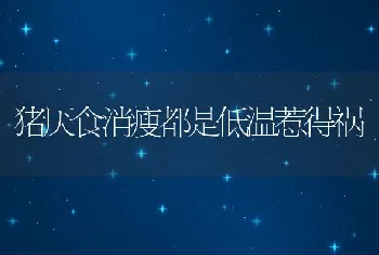 猪厌食消瘦都是低温惹得祸