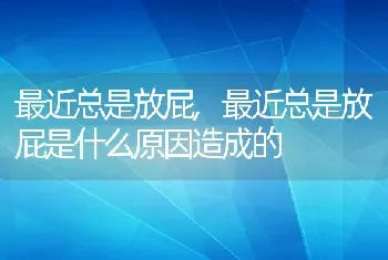 最近总是放屁，最近总是放屁是什么原因造成的