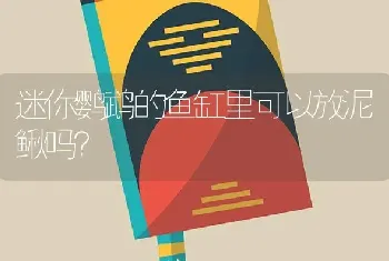 迷你鹦鹉的鱼缸里可以放泥鳅吗？