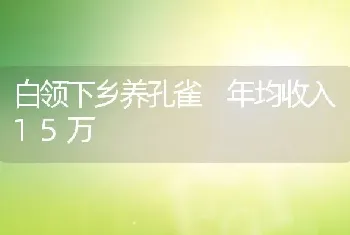 白领下乡养孔雀 年均收入15万