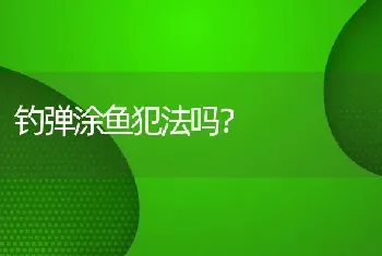 钓弹涂鱼犯法吗？