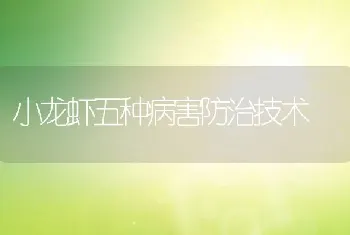 小龙虾五种病害防治技术