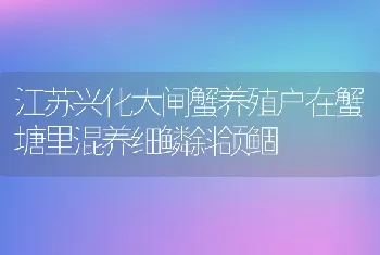 江苏兴化大闸蟹养殖户在蟹塘里混养细鳞斜颌鲴