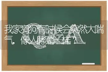 我家狗狗有时候会突然大喘气，像人哮喘一样？