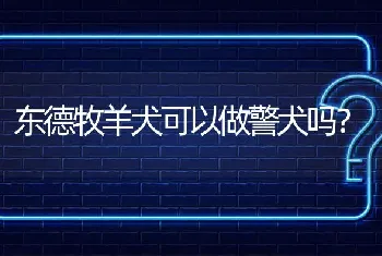 东德牧羊犬可以做警犬吗？