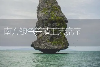 南方鲍鱼养殖工艺流序