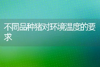 不同品种猪对环境温度的要求