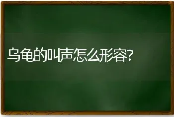 乌龟的叫声怎么形容？