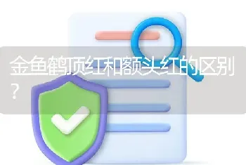 金鱼鹤顶红和额头红的区别？