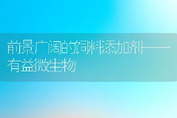 前景广阔的饲料添加剂——有益微生物