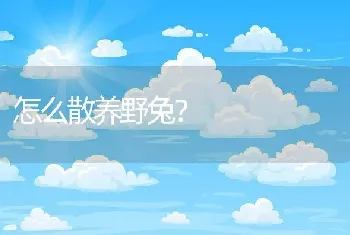 怎么散养野兔？