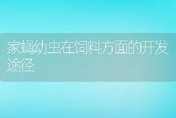 家蝇幼虫在饲料方面的开发途径