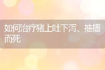 如何治疗猪上吐下泻、抽搐而死