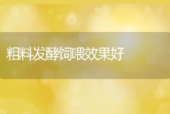 粗料发酵饲喂效果好