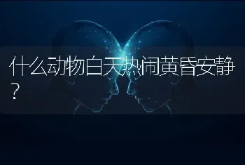 什么动物白天热闹黄昏安静？