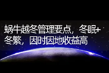 蜗牛越冬管理要点，冬眠+冬繁，因时因地收益高