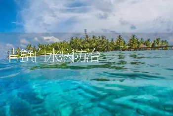 青蟹白水病防治