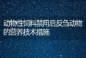 动物性饲料禁用后反刍动物的营养技术措施