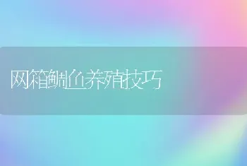 网箱鲷鱼养殖技巧