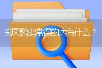 玄凤鹦鹉常得的病有什么？