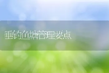 垂钓鱼塘管理要点