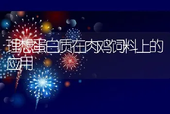 理想蛋白质在肉鸡饲料上的应用