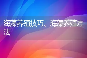 海藻养殖技巧、海藻养殖方法