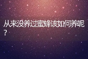 黄粉虫养殖过程