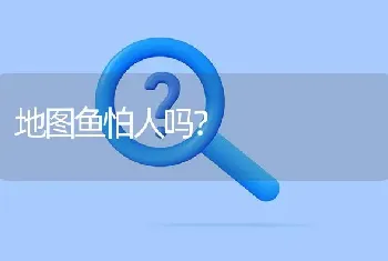 地图鱼怕人吗？