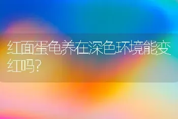 什么样的狗不爱叫而且还听指挥？