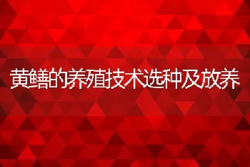 黄鳝的养殖技术选种及放养