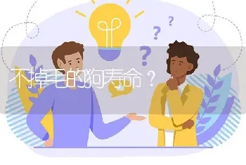 萨摩，萨摩耶，萨摩耶德有什么区别？