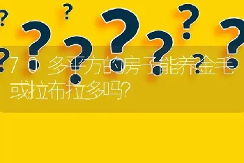 70多平方的房子能养金毛或拉布拉多吗？