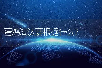 蛋鸡淘汰要根据什么？