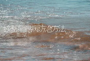 螃蟹黑鳃病防治方法