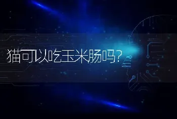 卡斯罗训练十五步骤？