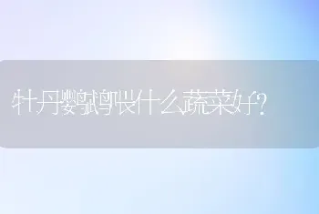 牡丹鹦鹉喂什么蔬菜好？