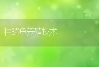 种鳄鱼养殖技术