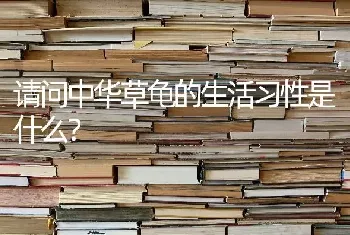 请问中华草龟的生活习性是什么？