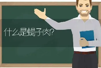 刚买泰迪狗怎么让它认识主人？