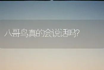 八哥鸟真的会说话吗？